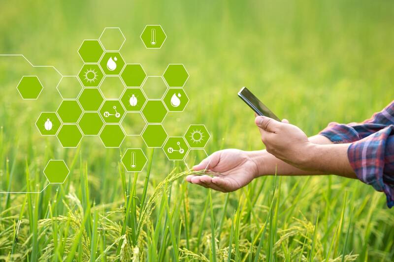 zera3a-export.com زراعة-اكسبورد