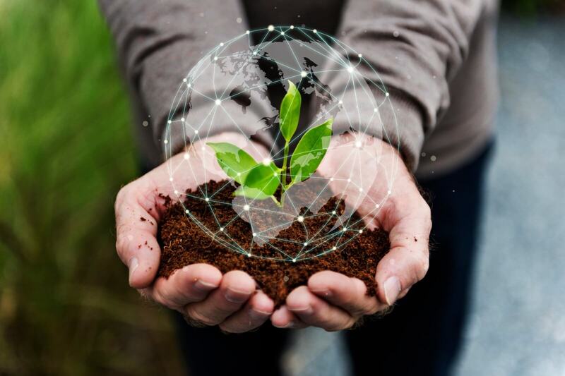 zera3a-export.com زراعة-اكسبورد